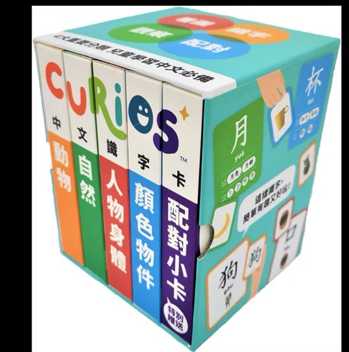 Curios 中文雙面識字卡